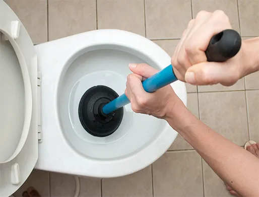 Como Desentupir Vaso Sanitário em Itatiba