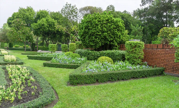Manutenção Jardim de Escola em Embu das Artes
